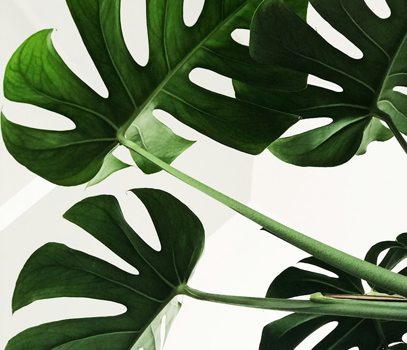 Elevate Your Spaces with Exceptional Indoor & Outdoor Furniture